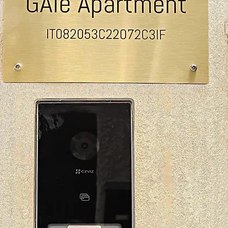 Gale * Palermo